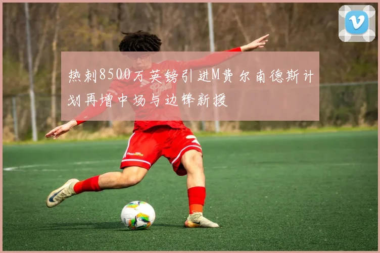 热刺8500万英镑引进M费尔南德斯计划再增中场与边锋新援