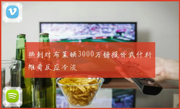热刺对布莱顿3000万镑报价武什科维奇反应冷淡